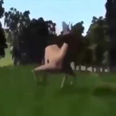 cursed_deer