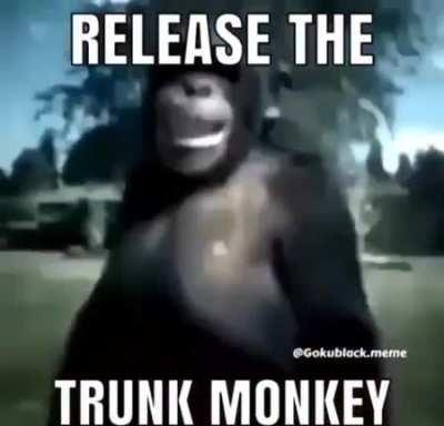 How Inquisitors use their captured Joakero