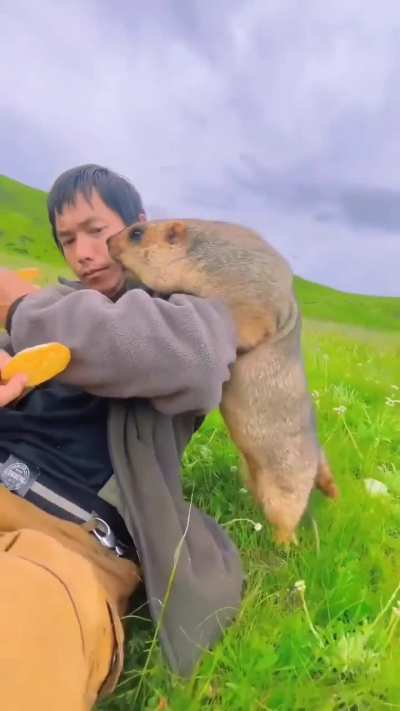 This is what the internet was made for