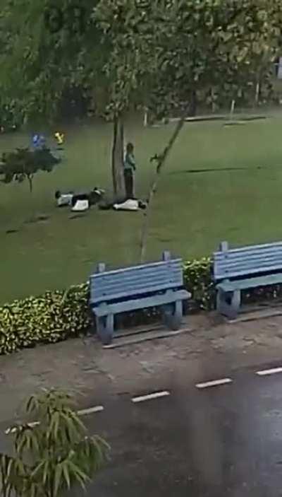 Standing under a tree