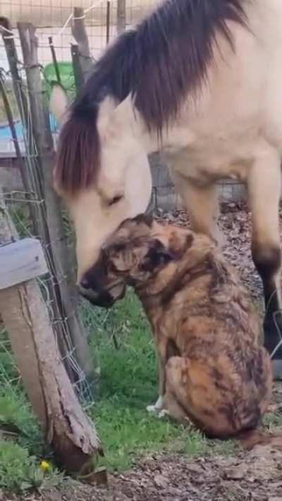 LOVE: Something we all need