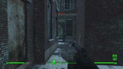 Cornered. Scared. Nowhere to go