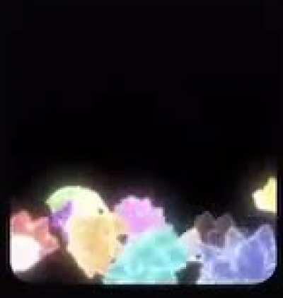 Anyone know the source of this snom-tastic gif? All my googling has come to naught