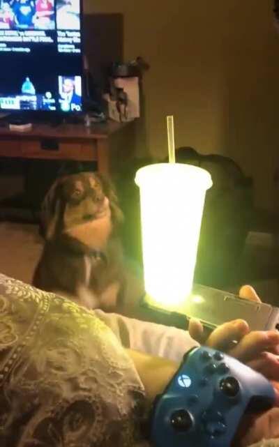 What kind of magical drink is that?!