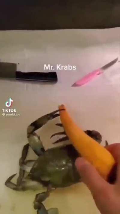 MoaiGreddit - Video #3744