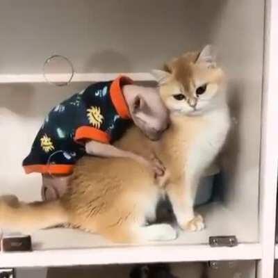 blursed_preeeeeeeeeeeeeeecious