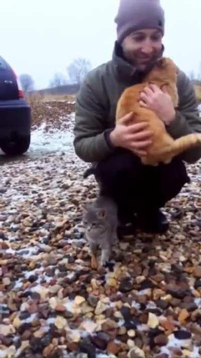 Stray boy found his new home