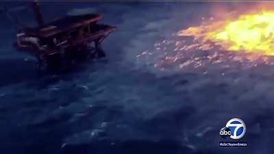 Лисички вкрай охуели.