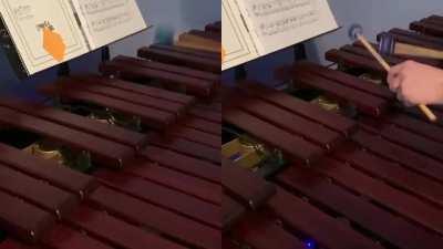 Ishukan Communication (Dragon Maid ED) Marimba/Percussion Arrangement!