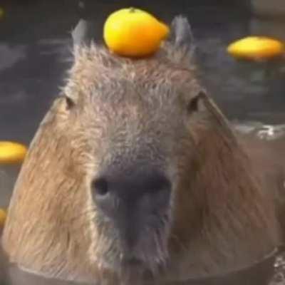 An interesting title