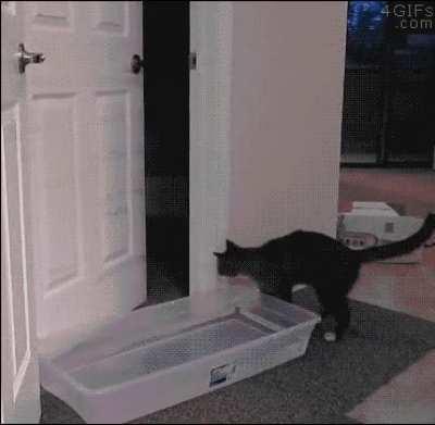 hahaha, they thought this water would prevent me from entering