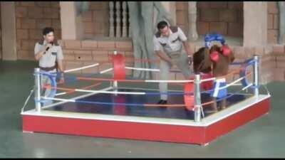 Guatafac Orson contra Alesbi😳