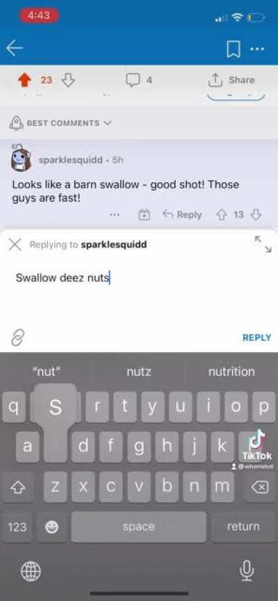 The poor fools on r/birdwatching had no clue what hit em