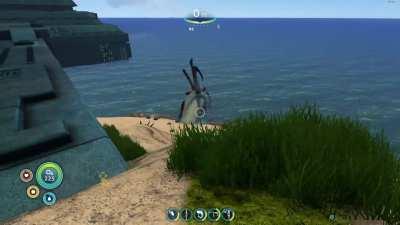 Well, time to go change my wet suit