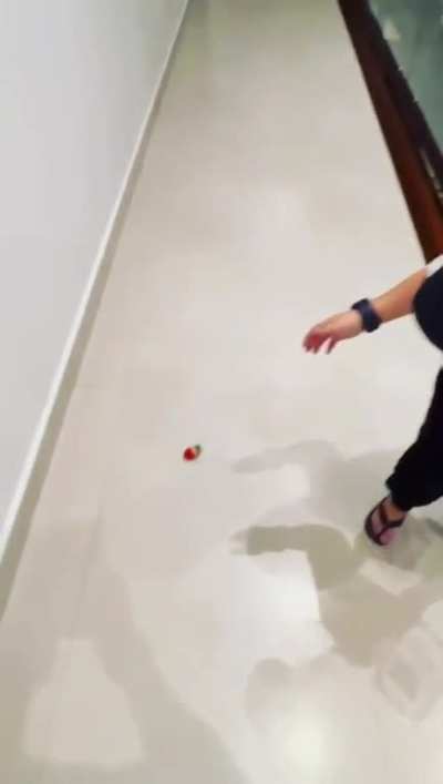 Get owned hasbulla stupid strawberry