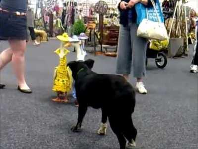 Good heavens! I don't like the looks of that fellow, Mary!