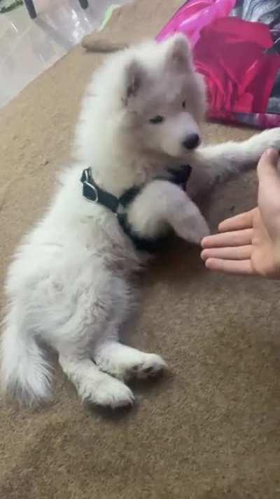 A little confused but he got the spirit