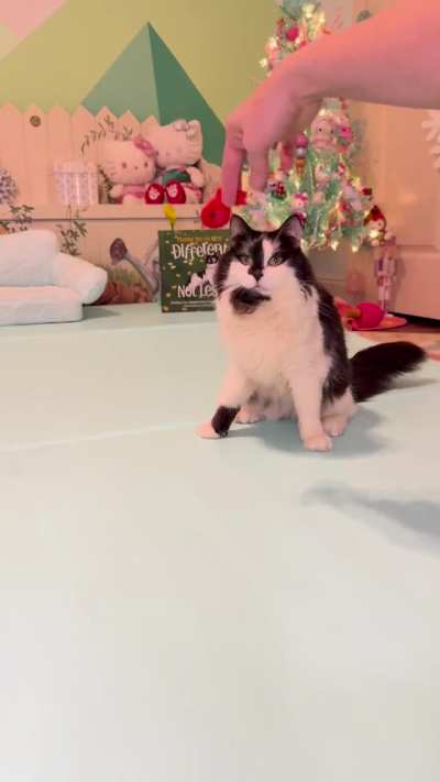 Advent calendar 1, day 19 💚❤️