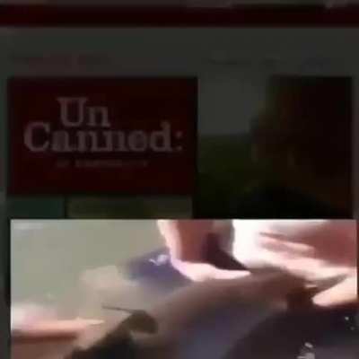 Wordington Let's Play