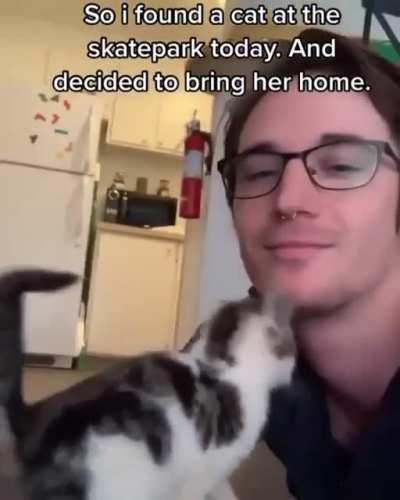 Thanks, I love grateful kitten