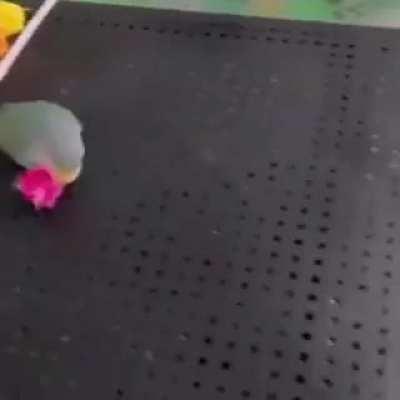 Artificial Intelligence is getting out of control