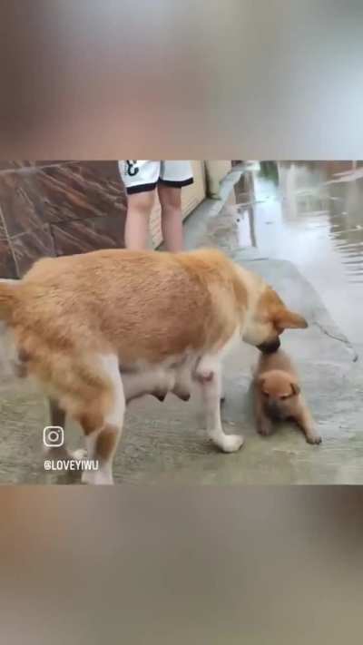 She's fed up but being gentle 🥰