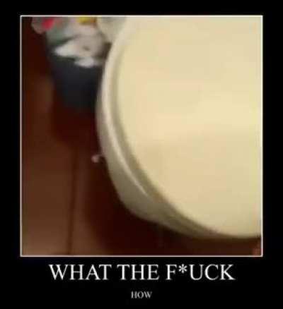 Ratatouille t&aacute; diferente