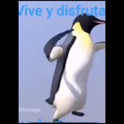 No se que ago con mi vida