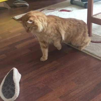 When slippers strike back!