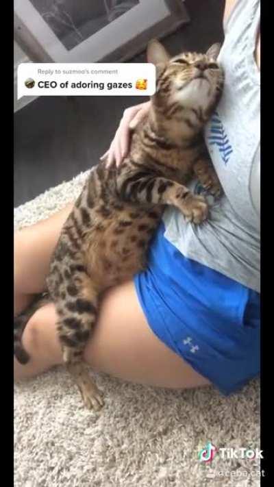 The love in his eyes 🥺 @ceba.cat