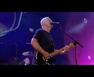 Pink Floyd shreds 