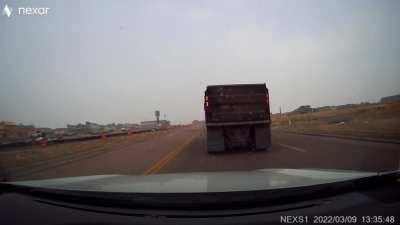 Trucker saw a chainsaw on the side of the road yesterday, decided to stop and backup to try and get it…