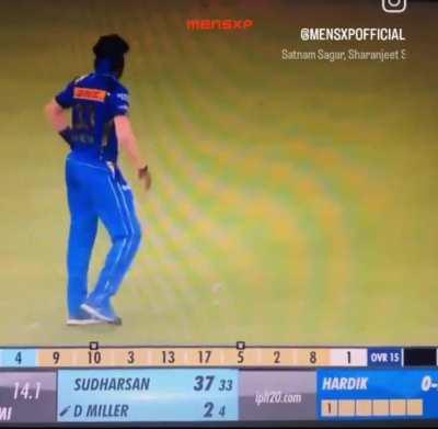 3 Dogs looking at each other