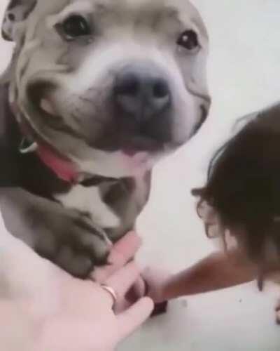 [NSFW] man viciously attacked by pit bull