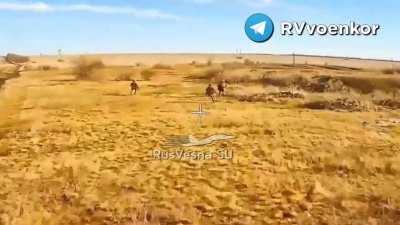 A drone catches up to a group of fleeing Ukrainian soldiers and hits one of them, Sudzha outskirts