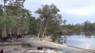 Trees getting swallowed by a deep sinkhole in Louisiana after an underground salt dome cavern collapses. Salt domes are mounds or columns of salt that have intruded upwards into overlying sediments (the process is called diapirism).