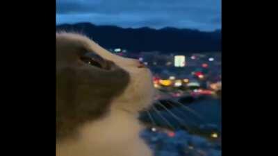 Me in the first half of the movie vs the second half