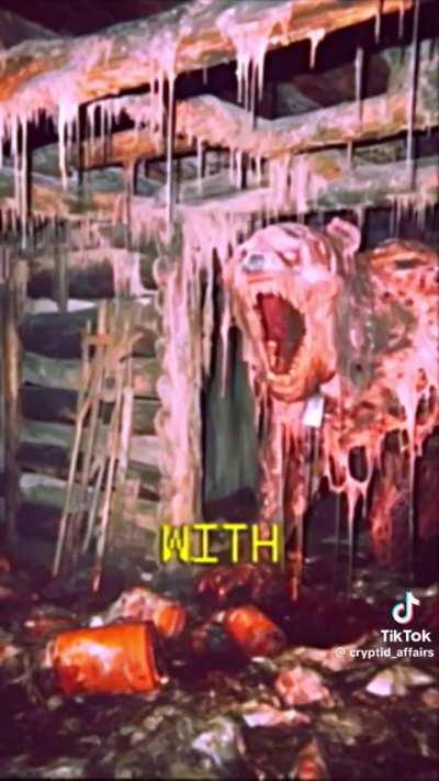 Tiktok trend gone awry