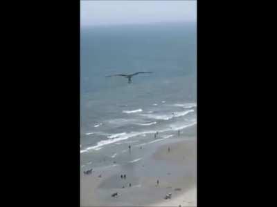 I can show you the whole world