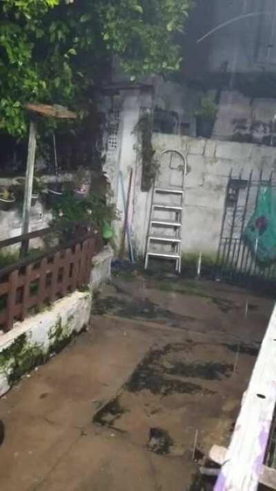 Tonight we have a thunderstorm.