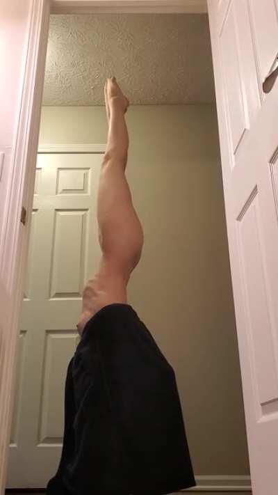 Mating ritual of rare flock of gingers (Xpost)