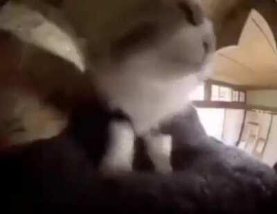 Zavodila got me like: