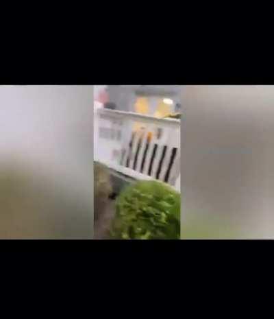 Off duty sherif shot and killed man’s best friend with pellet gun 😔🐶