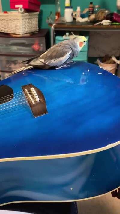 Don’t mind me, just having my guitar professionally relic’d