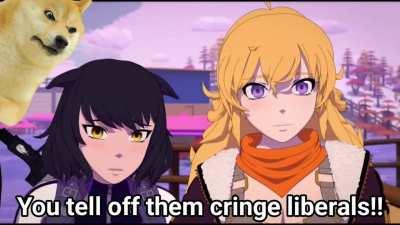 Doge Complains About Wokeness