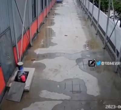 Dog calls a human to help his brother