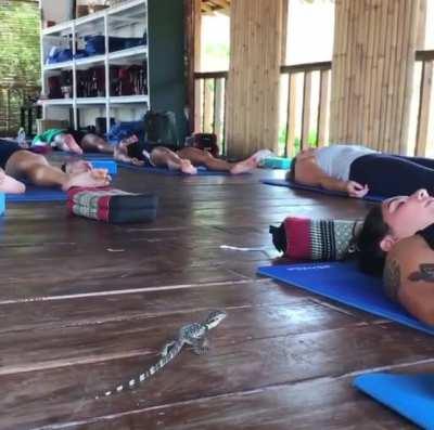 To relax in Savasana