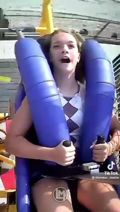 You're calmly flying through the skies and a hooman slingshots themselves at you...