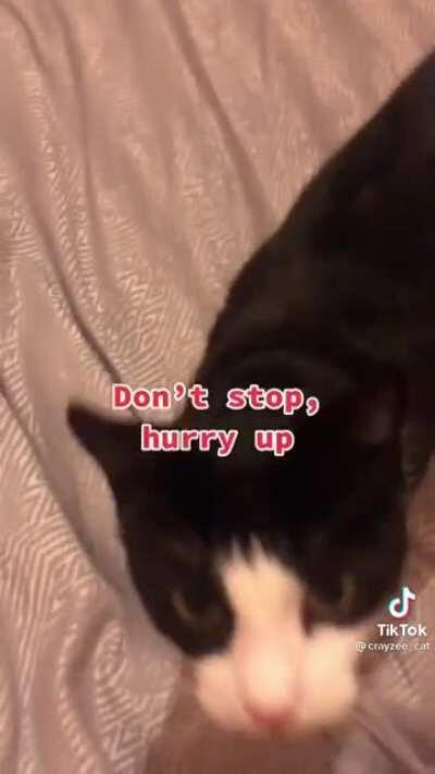 this is just how i am hooman