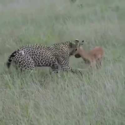 Mama Said Not to Play With Your Food! 😂